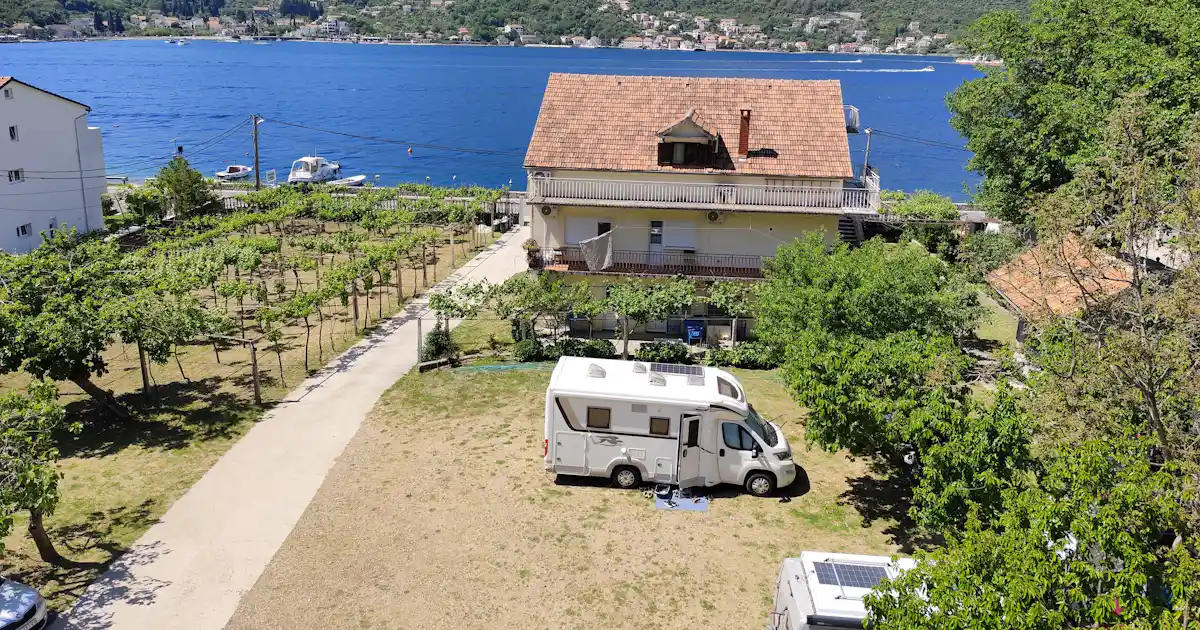 Sind Hunde auf Camping Verige erlaubt? photo 4