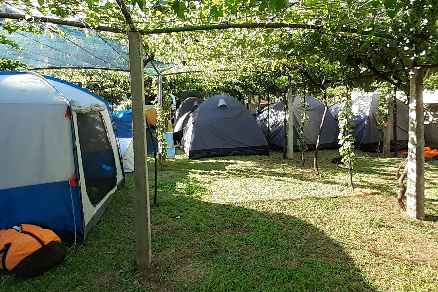 Camping Verige - Zeltplätze auf dem Campingplatz