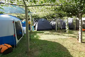 Zelte auf einem Campingplatz im Schatten von Bäumen, mit Grasboden und mehreren Stellplätzen zwischen den Baumreihen.