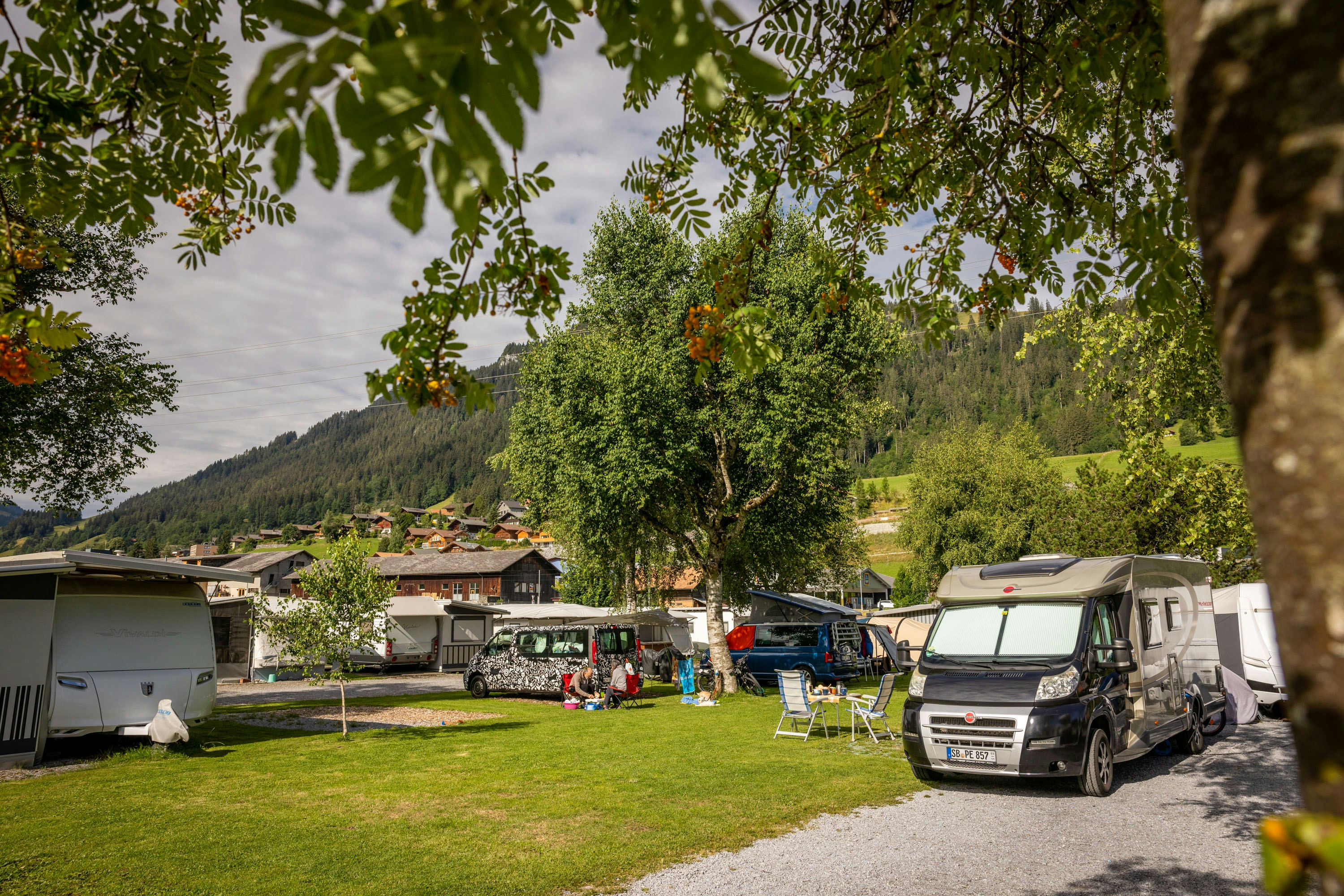 Camping Vermeille - Standplätze zwischen den Bäumen auf dem Campingplatz