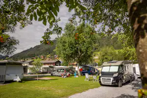 Camping Vermeille - Standplätze zwischen den Bäumen auf dem Campingplatz