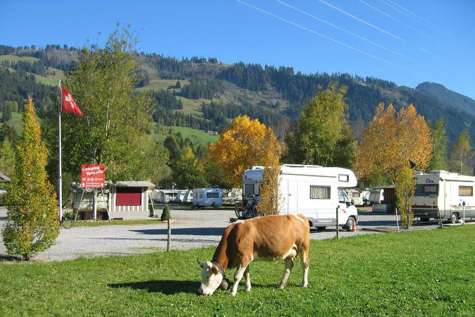 Camping Vermeille -  Wohnwagenstellplätze auf dem Campingplatz