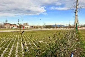 Camping Verona Village - Blick auf das Campingplatzgelände mit Wohnwagenstellplätzen