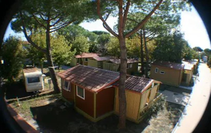 Camping Versilia Mare