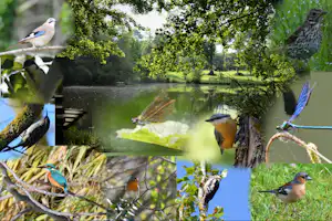 Camping Vert Bord'Eau - Teich und Bach innerhalb des Campingplatzes