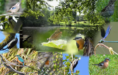 Camping Vert Bord'Eau