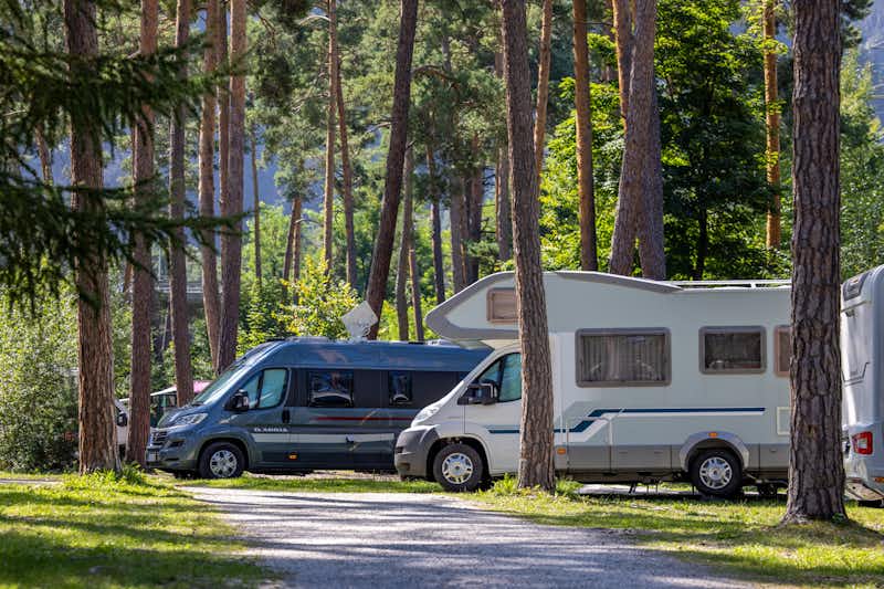 TCS Camping Thusis-Viamala - Stellplätze unter den Bäumen