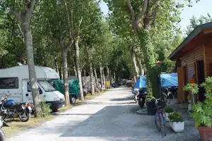 Camping-Gasse mit Wohnmobilen und Transportern, Motorrädern und Fahrrädern am Stellplatz, umgeben von hohen Bäumen.