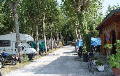 Camping Viareggio