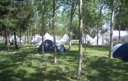 Camping Viareggio
