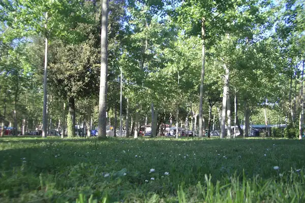 Camping Viareggio