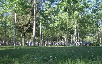 Camping Viareggio