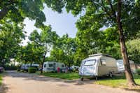 Camping Vicenza  -  Stellplatz vom Campingplatz im Schatten der Bäume