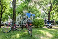 Camping Vicenza  - Fahrräder auf dem Stellplatz vom Campingplatz im Grünen