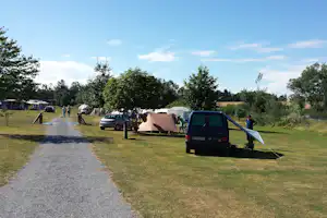 Campingplatz mit Wohnwagen und Zelten, Autos am Stellplatz, Kiesweg und Bäume entlang der Wiese.