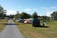 Camping Vidlák - Pfad auf dem Campingplatz mit Stellplätzen