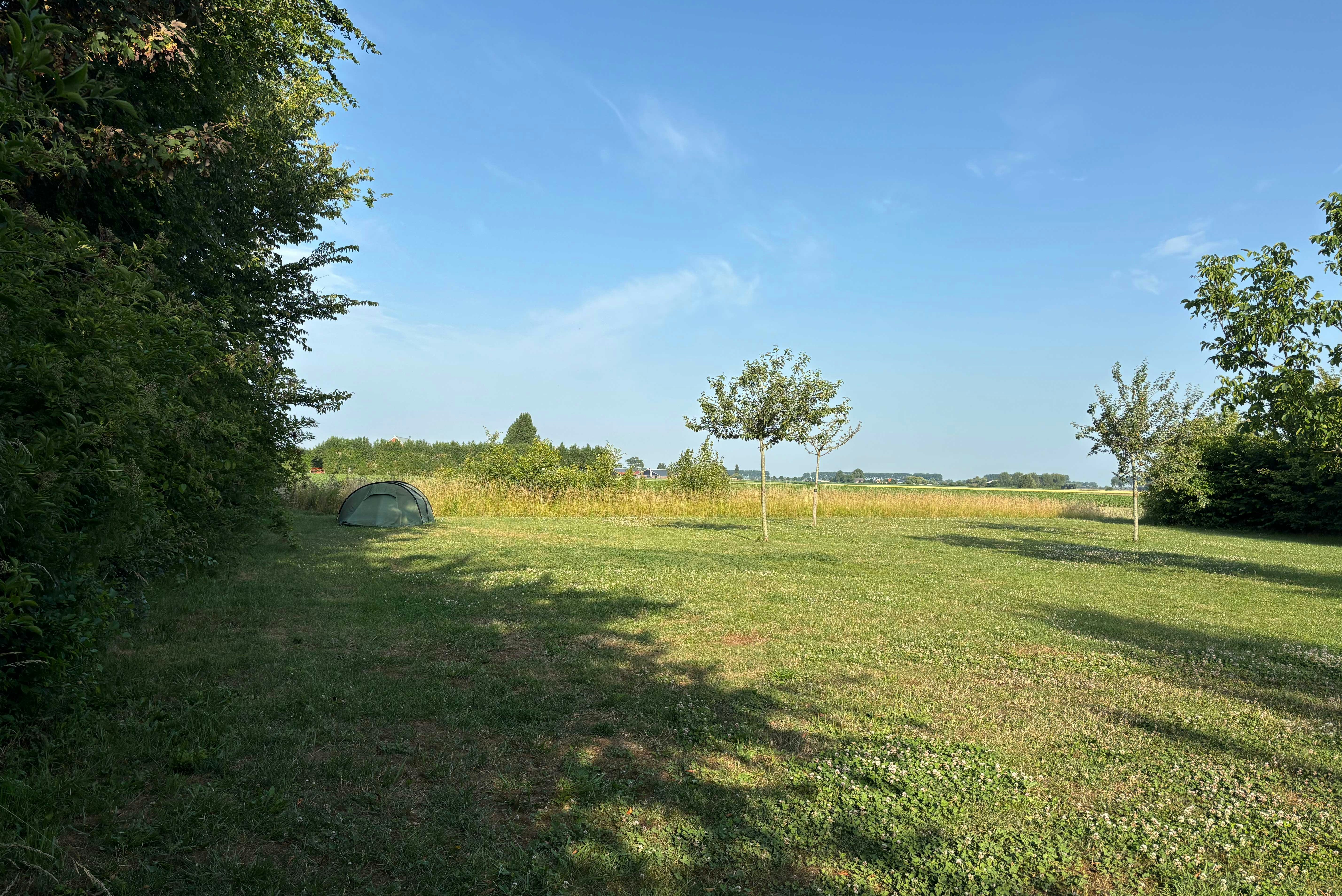 Camping VierVaart - Blick auf die Standplätze auf der Wiese