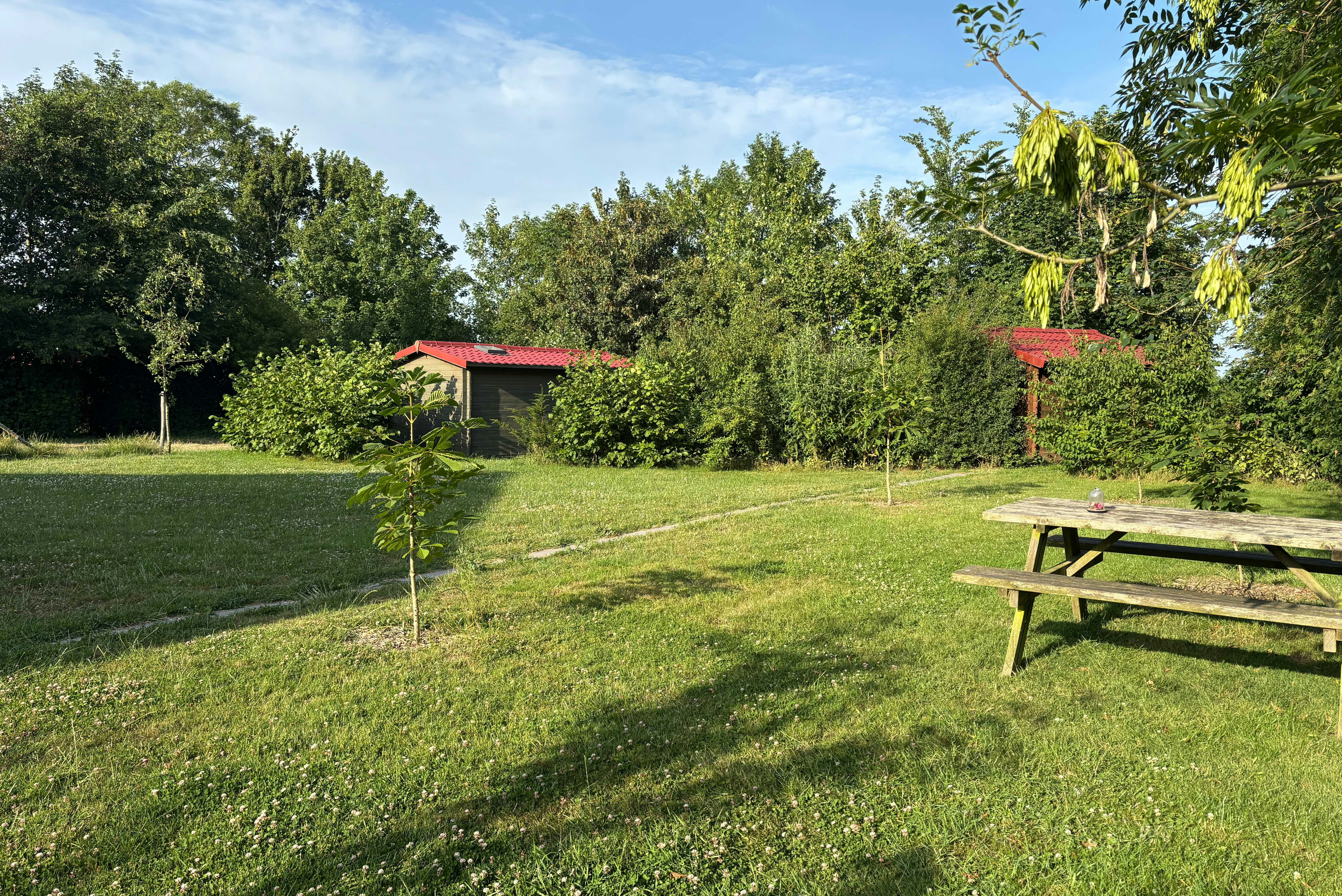 Camping VierVaart - Picknickbank auf der Standplatzwiese