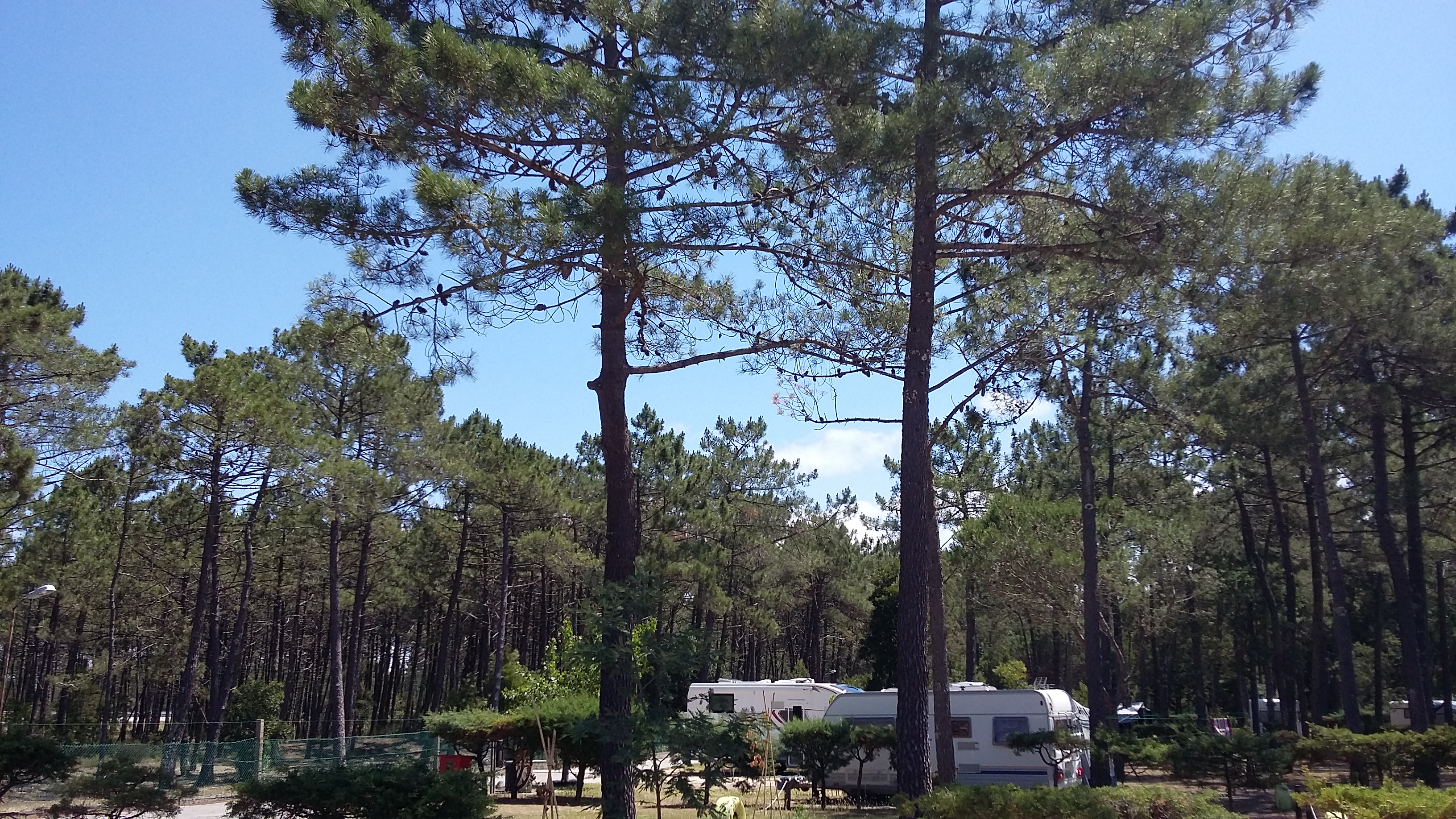 Camping Vila Caia