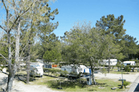Camping Vila Caia - Wohnwagen- und Zeltstellplatz mit gepflanzten Bäumen