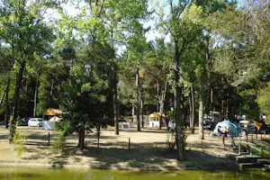 Baumreihe auf dem Campingplatz, Stellplätze mit Zelten und Wohnwagen, Autos am Weg und ein kleiner Teich im Vordergrund.