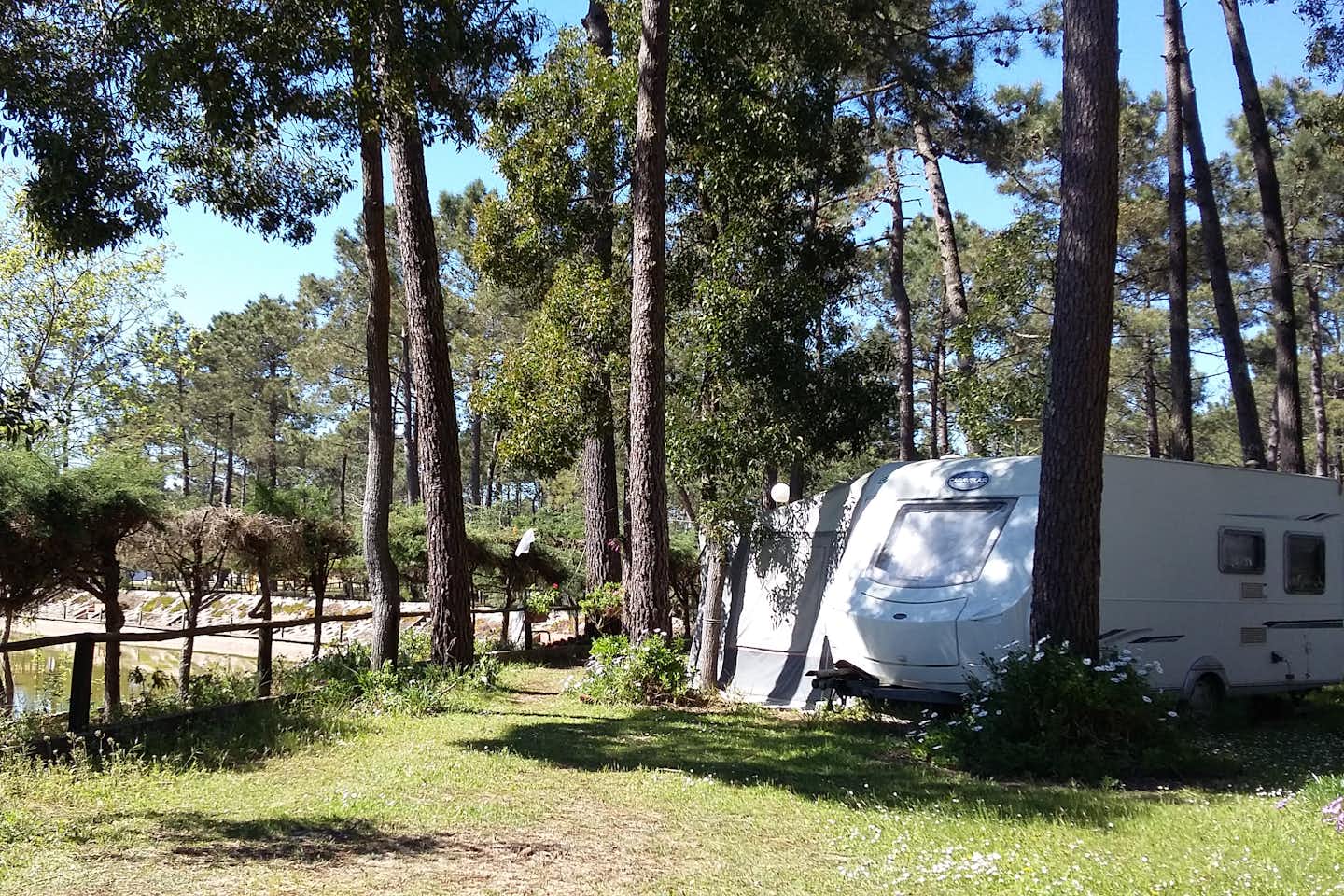 Camping Vila Caia - Wohnwagen zwischen Bäumen auf dem Stellplatz