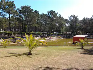 Teich auf einem Campingplatz mit gelbem Rand, Bäumen im Hintergrund und Rasenfläche davor.