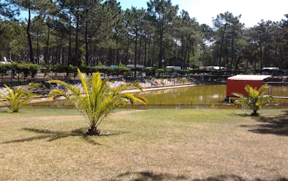 Camping Vila Caia