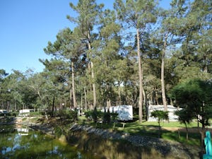Camping Vila Caia