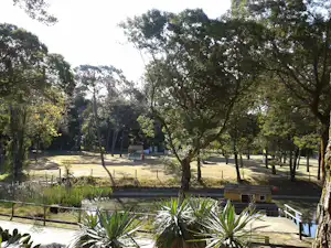 Camping Vila Caia