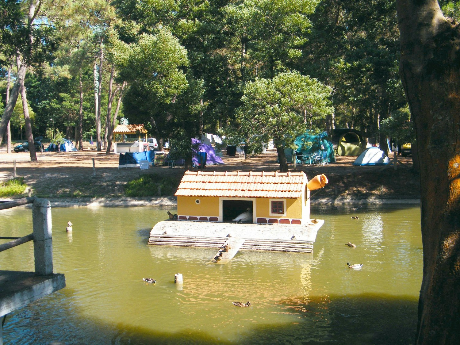 Camping Vila Caia