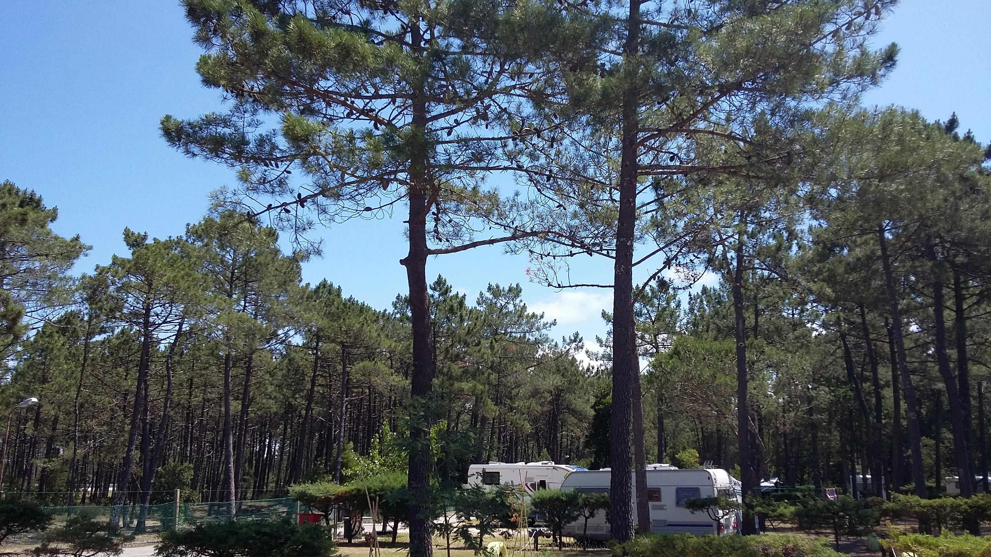 Camping Vila Caia