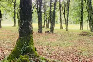 Camping Vila de Sarria - Camping im Wald