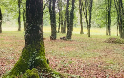 Glamping & Camping Vila de Sarria