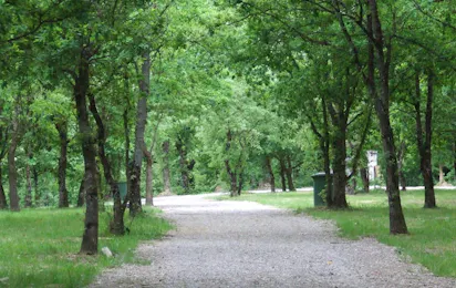 Glamping & Camping Vila de Sarria