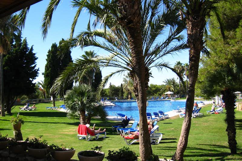 Camping Vilanova Park  -  Pool vom Campingplatz mit Liegestühlen in der Sonne auf grüner Wiese