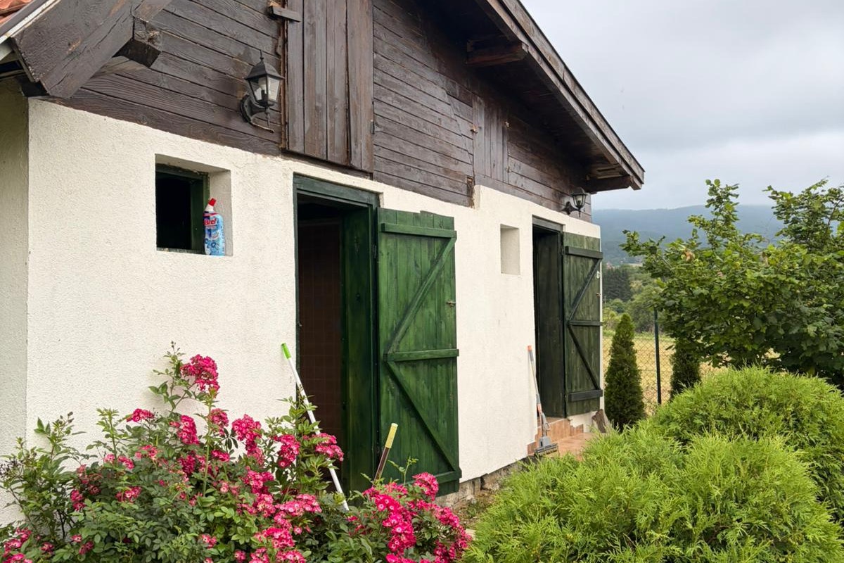Holz-Ferienhaus mit grünen Türen, rotem Ziegeldach und Blumenbeet vor dem Eingang, umgeben von Büschen und Grün.