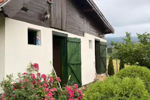Holz-Ferienhaus mit grünen Türen, rotem Ziegeldach und Blumenbeet vor dem Eingang, umgeben von Büschen und Grün.