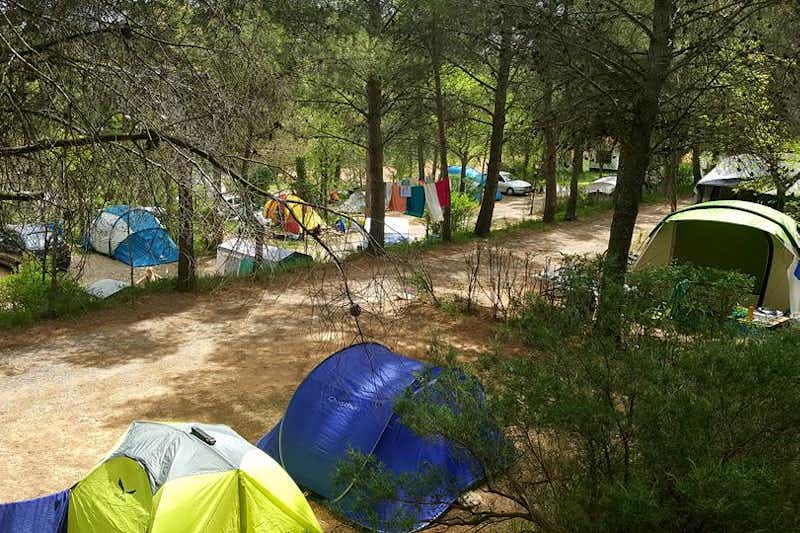 Camping Villa de Viver  -  Zeltplatz vom Campingplatz im Schatten der Bäume