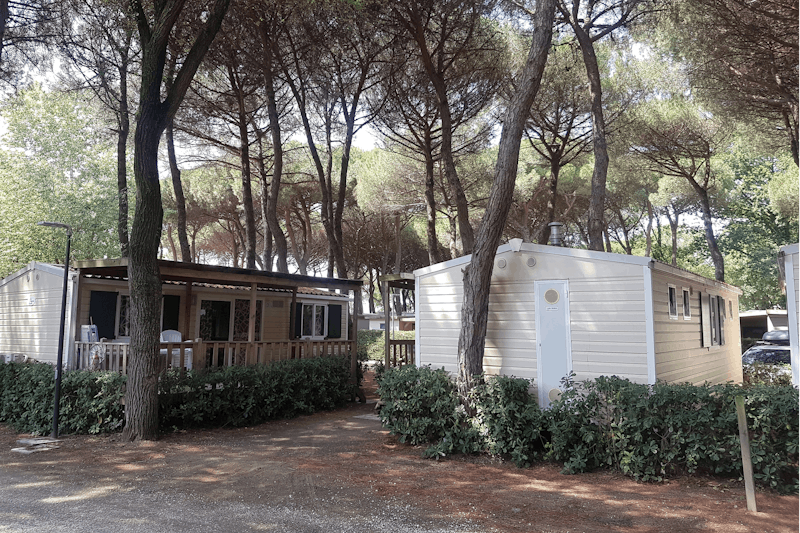 Camping Village Adriano  -  Mobilheime vom Campingplatz mit Veranden im Grünen