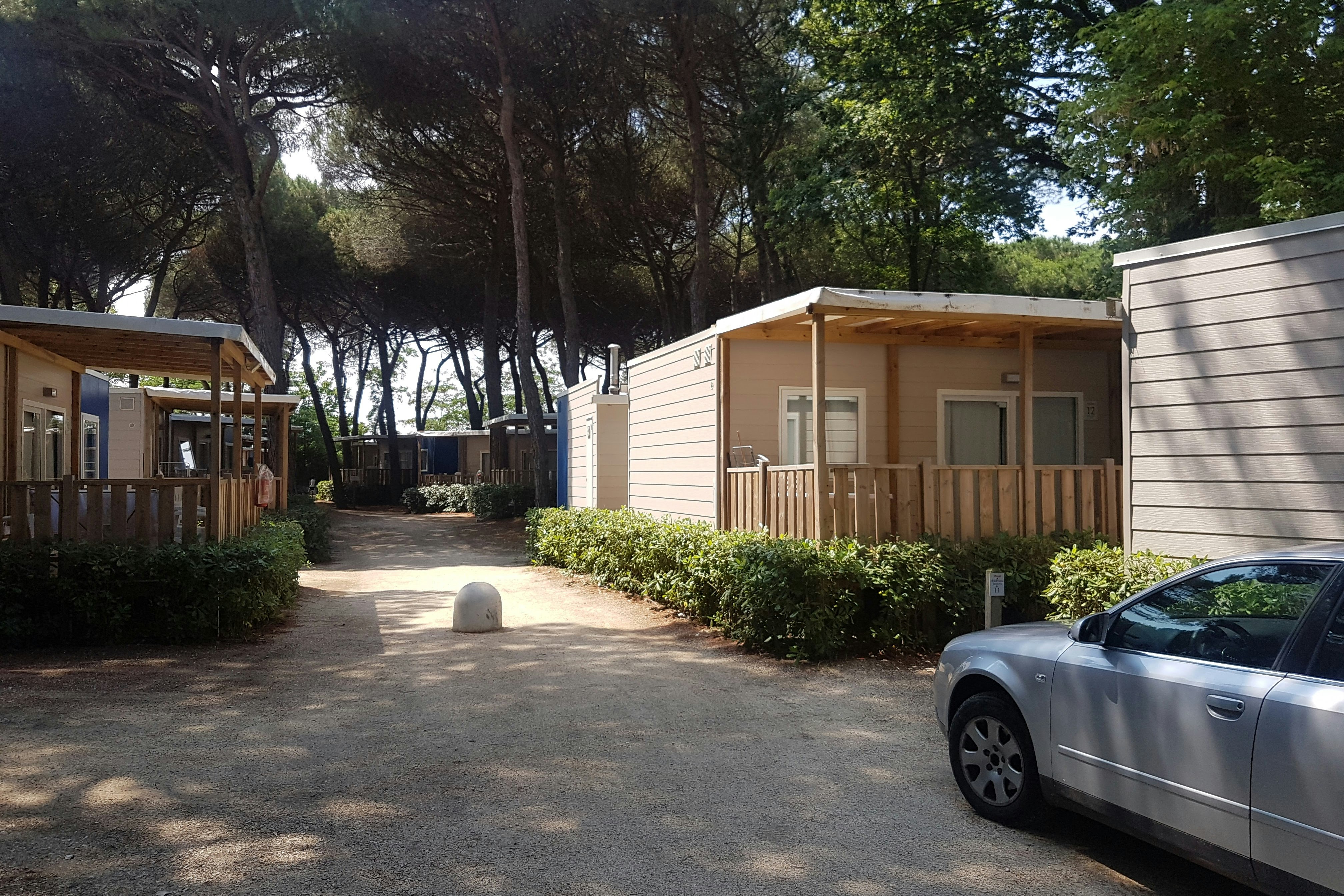 Adriano Family Collection