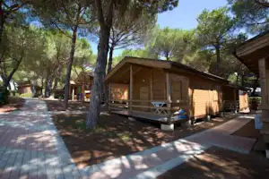 14973074.jpg