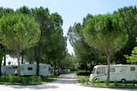Green Village Assisi Camping  -  Wohnwagenstellplatz vom Campingplatz zwischen Bäumen