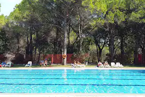 Camping Village Belvedere Pineta -Sportbecken mit Liegestühlen unter Bäumen auf dem Campingplatz