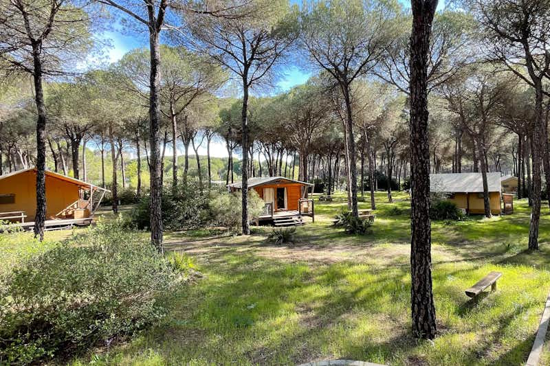 Camping Huttopia Parque de Doñana - Mietunterkünfte im Halbschatten unter Bäumen