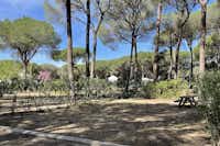 Camping Huttopia Parque de Doñana - parzellierter Standplatz mit Picknicktisch im Halbschatten unter Bäumen