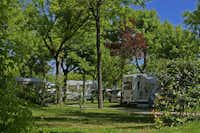 Camping Village Garden Paradiso  - Wohnmobil- und  Wohnwagenstellplätze  auf der Wiese  im Schatten der Bäume
