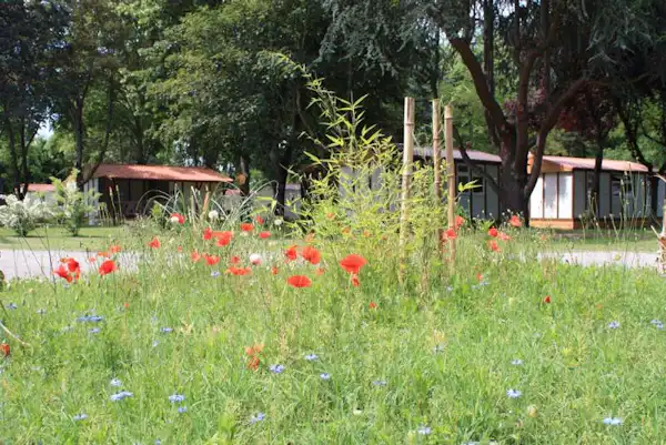 Camping de Pamiers