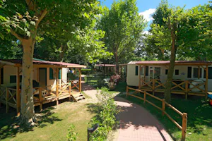 Camping Village Lago Maggiore - Mobilheime zwischen Bäumen auf dem Campingplatz