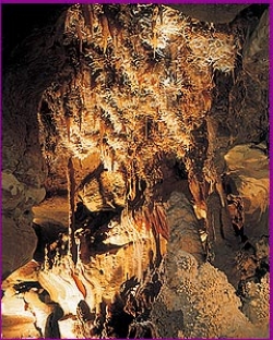 Camping Village  le Moulin de Surier